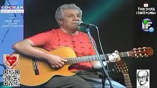 Foi Um Rio Que Passou Em Minha Vida Paulinho da Viola Sambatrio