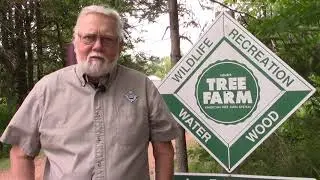 Tree Farm 2020 Virtual Field Day: Part 1 Chuck's Story