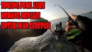 Strike Size idaman.... Tapii... [Lure Killer untuk baby GT]