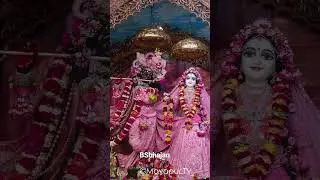 Radhe Krishna Bhajan | Mathura Special 🌹🌹|#viral #bhjan #video #mathura #trending #shorts #krishna
