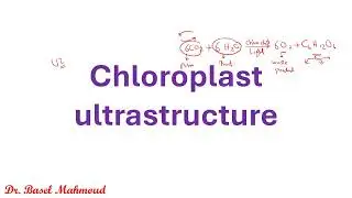 IAL Edexcel Biology Unit 4 - Photosynthesis - Part 1