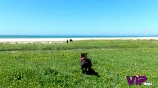 Tyra, Keishia & Onza en El Palmar (Cadizfornia)