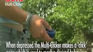 Clix multi clicker for Dog and Puppy training