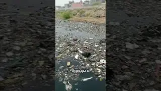 Экокатастрофа