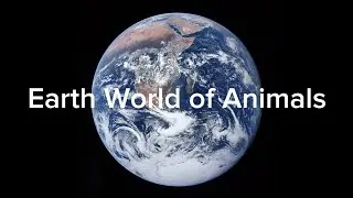 Earth World of Animals