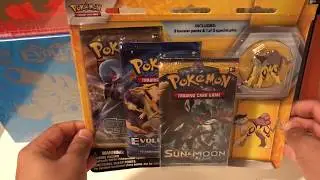 Raikou pin collection blister pack(Amazing pull)