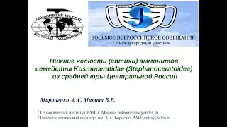 Мироненко Александр Александрович -  Нижние челюсти аммонитов-космоцератид с Русской плиты