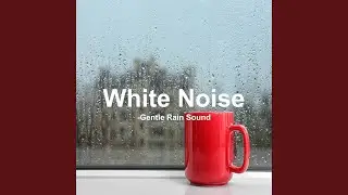 Gentle Rain Sound (Test, Concentration, Study, White Noise, Sleep, Mental and Physical...