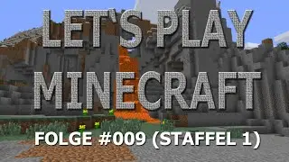[Let's Play Minecraft] Wir bauen am Haus weiter #3 [#009] [DE] [HD] [FACECAM]