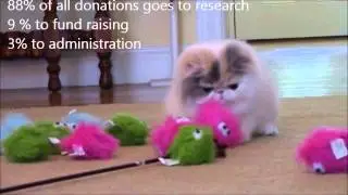Mice Bucket Challenge
