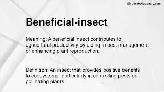 Beneficial-insect Meaning