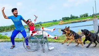 Very Special Trending Comedy Video 2026 😂 Amazing Funny Video Episode @152