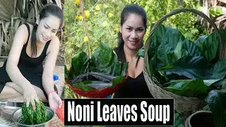 Catfish Soup With Coconut Milk And Noni Leaves Recipe - SML Media