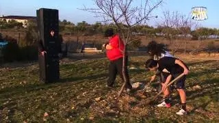 Pantomineiro Pesado 3 de 3