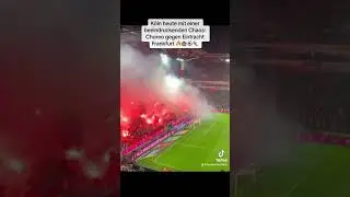 K&ouml;ln heute mit einer beeindruckenden Chaos-Choreo gegen Eintracht Frankfurt🔥🏟️⚽️👟 #koesge #fck&ouml;ln