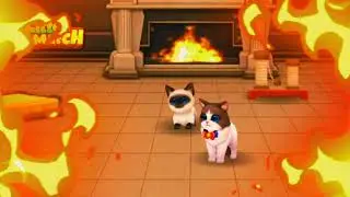 kitten match Annie and Abu have a fire party!  (kinda loud music)