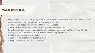 Final Project Business Risk - Electric Cars Wuling
