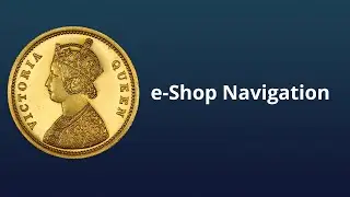 Exploring the e-Shop