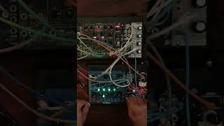 Fading Signals | Raw Waves 2 Through Blackhole Reverb #rawwaves2 #ambient #eurorack #fxaid