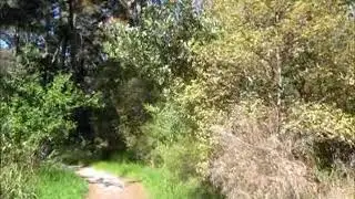 Opoutere YHA 2013 17