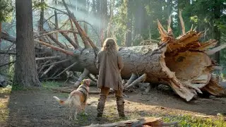 Mountain Man's Dog Howled Beside Fallen Tree &mdash; What He Saw There Made Him&hellip;