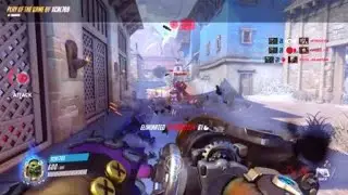 Overwatch: Origins Edition Roadhog Potg