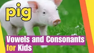Vowels and  Consonants for Kids | Letter Recognition Skills | Reading Foundations |