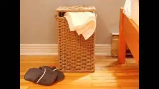 How To Get Bed Bugs Out Of Your Clothes.wmv