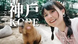 一個人遊關西🇯🇵｜神戶動物王國：尋找水豚君之旅！🐿️｜平價神戶牛鐵板燒🥩Steakland｜打卡小眾文青的購物街區🛍️Tor Road/Tor West～｜Solo Trip to Kobe