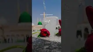 🥀🌺🌼#muhammadﷺ #naat #noorehidayat