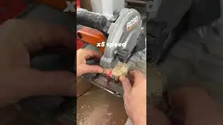 Rock Cut