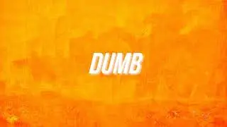 Dissimulate - DUMB