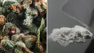 4 overdoses in 5 days: Salisbury Police warn of marijuana laced with fentanyl  | WSOC-TV