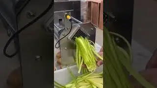 cut vegetables very easily with the help of a machine that will help cut the vegetables