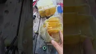 How to bypass coolant level sensor on a later model Peterbilt.