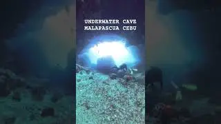 Gato Island Malapascua Cebu: Thrilling Underwater Cave & Tunnel Diving with White-tip Sharks