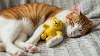 Calming Cat Music for Deep Sleep: Relaxing Melodies to Soothe Your Anxious Feline Friend | Cat Sleep