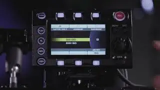 VARICAM LT   BASE ISO   P9