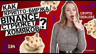 Как  BINANCE стрижет хомяков? Получи свой бонус от Paytomat. Facebook Coin заменит доллар США