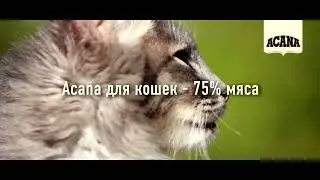 Grasslands, Pacifica и Wild Prairie   три вида корма Acana (Акана) для кошек