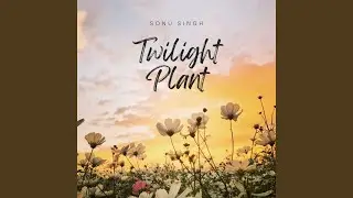 Twilight Plant