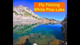 Fly Fishing White Pine Lake beneath Red Baldy 11,000 feet