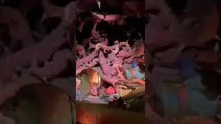 🎢 Farewell, Splash Mountain | Zip-a-Dee-Doo-Dah Lives On 🌞🌊