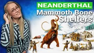 What Are These Piles Of Mammoth Bones?