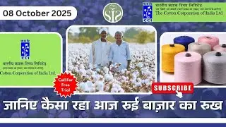 ऐसा रहा आज रुई बाज़ार का हाल All India cotton market update Aaj ka kapas bazar #cotton #CCI