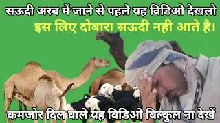 सऊदी अरब में इंडियन वर्कर की जिंदगी। Life of Indian worker in Saudi Arabia ? #Saudikvlog#goatfarming