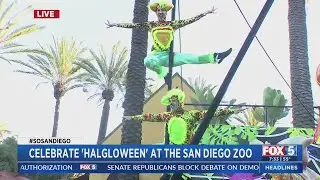 Kids Get In Free To San Diego Zoo Halloween Event