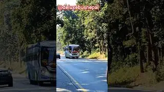 Dhangadhi to Kathmandu in MALIKA Air Bus 😍 Comfort Ride#feedshorts @welcomenepal-8