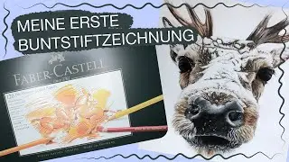 Faber Castell Polychromos zu Weihnachten geschenkt bekommen? - Meine erste Buntstiftzeichnung!