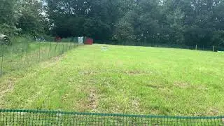 Karma Dogs Training Enclosure